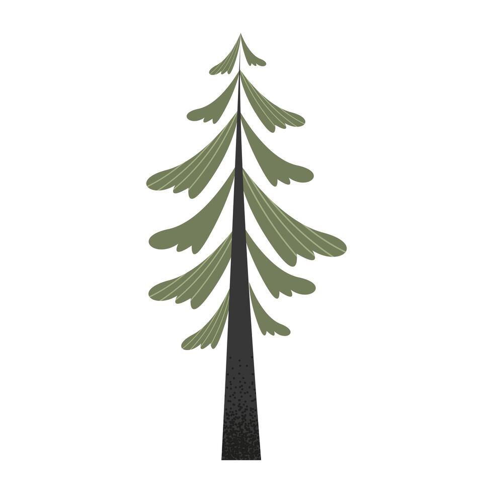 pine tree plant vector