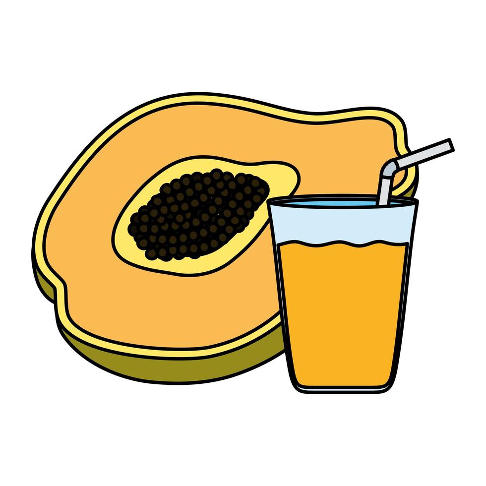 tropical papaya fruit with juice glass vector