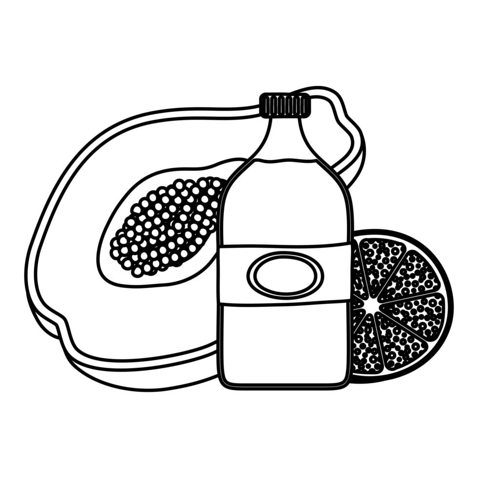 tropical papaya with orange and water bottle 2843476 Vector Art at Vecteezy