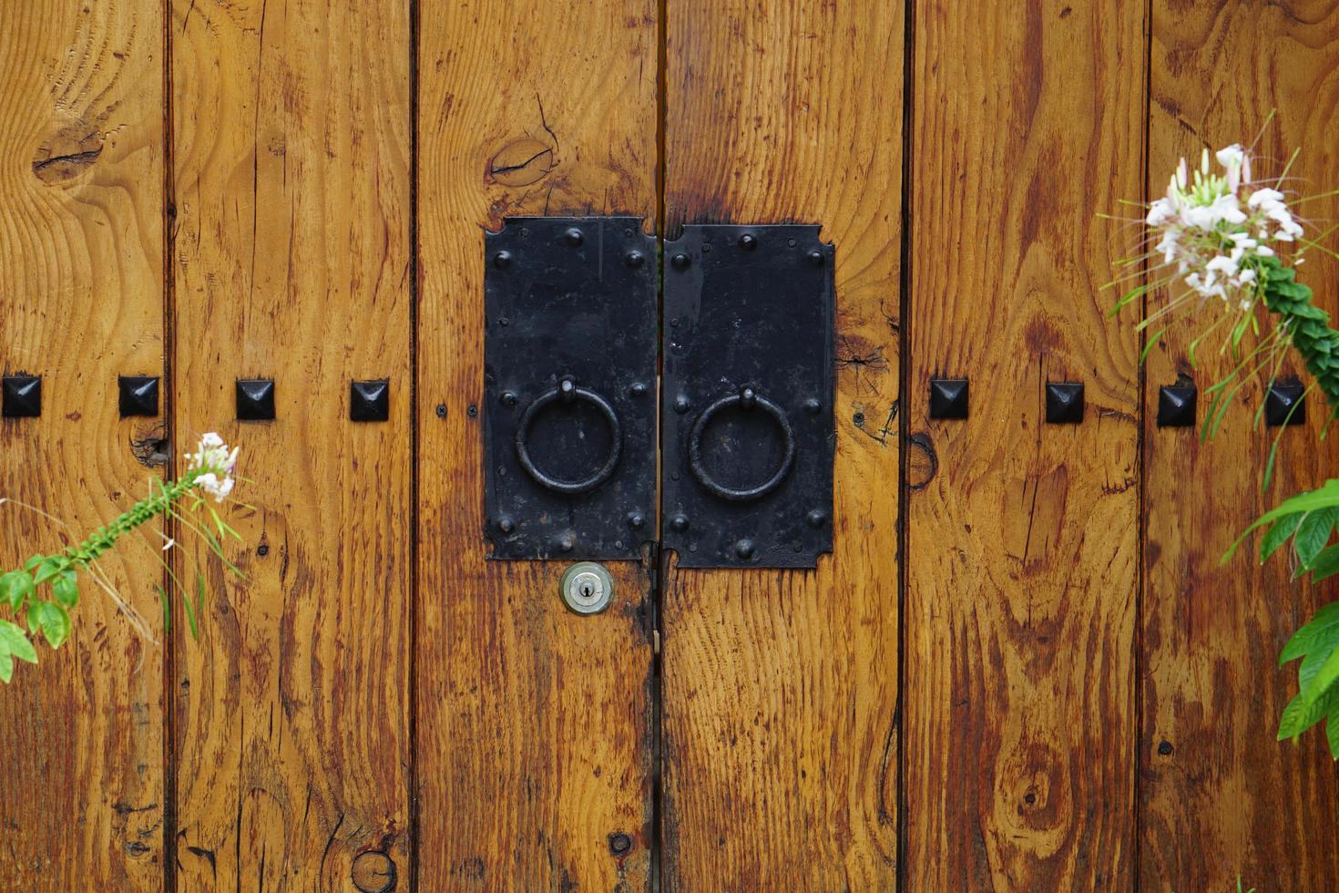 Traditional wooden door photo