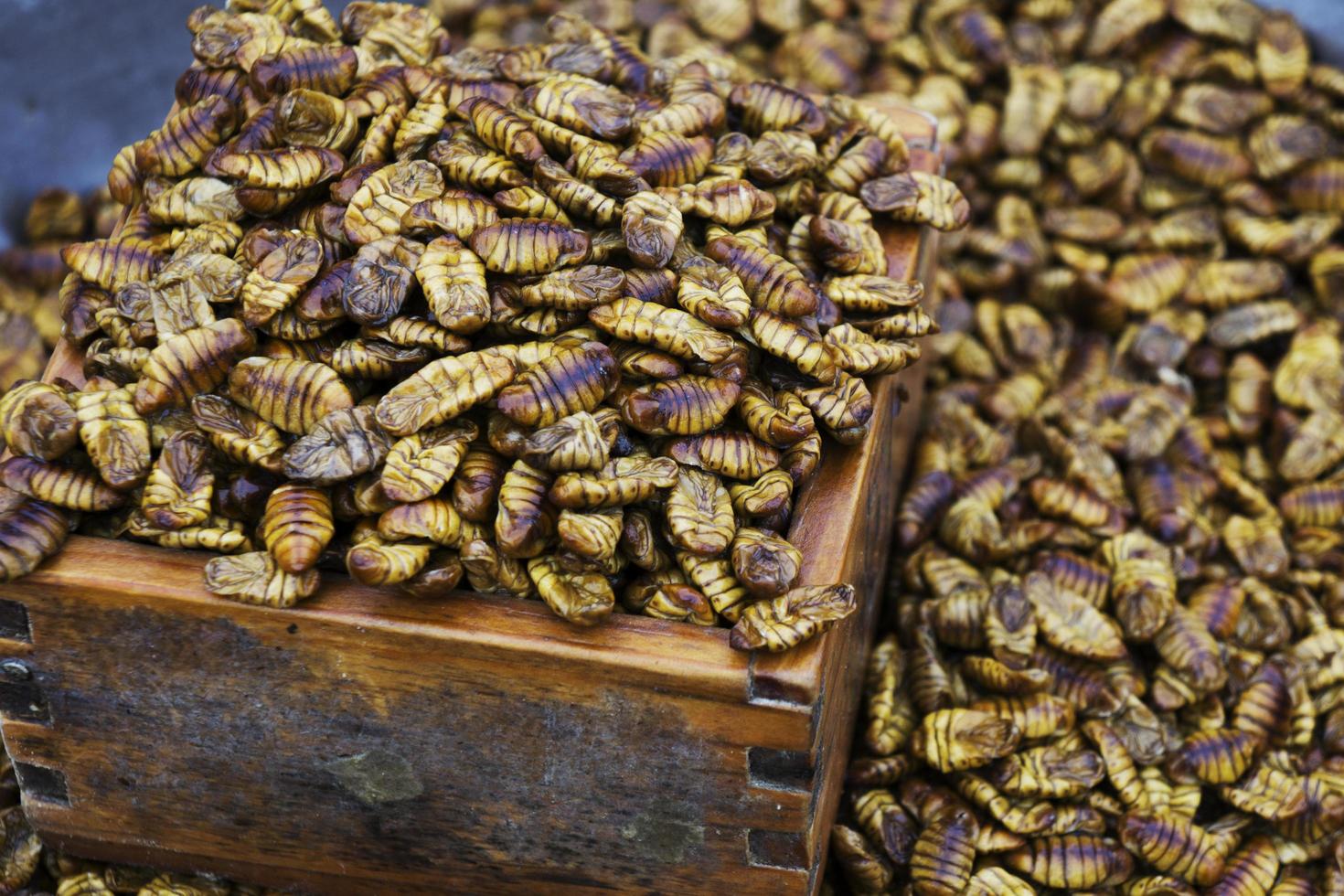 Bondegi traditional korean snack bondegi traditional korean snack made from silk worm pupa photo