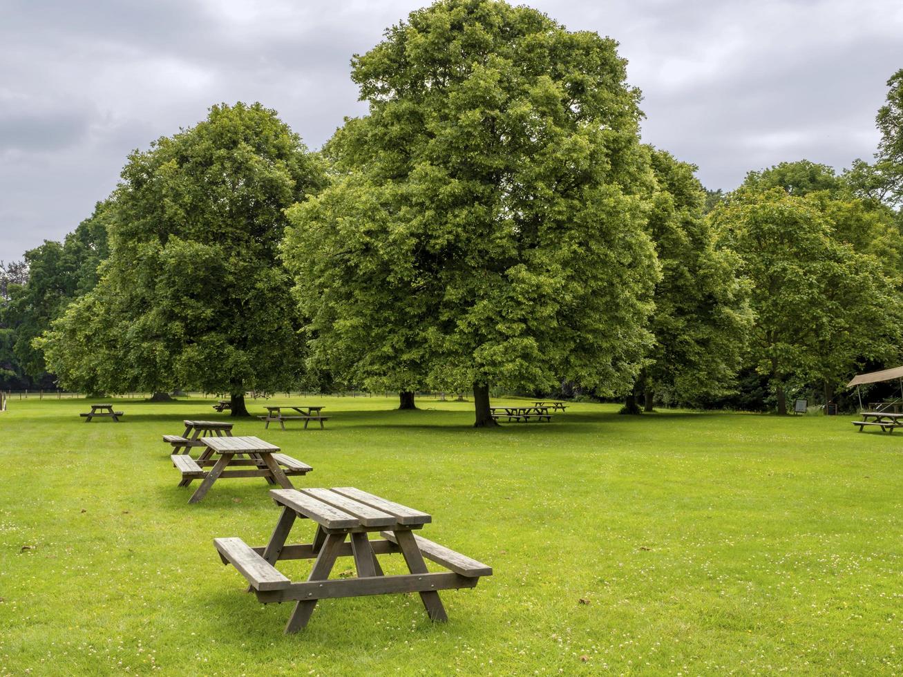 Mesas de picnic de madera en un campo en un parque foto