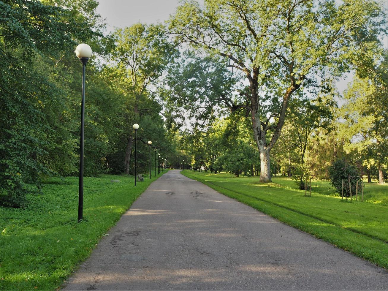 Camino a través del parque Kadriorg Tallin Estonia foto