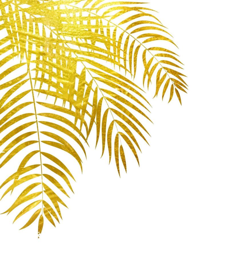 Beautifil Palm Tree Leaf  Silhouette Background Vector Illustration