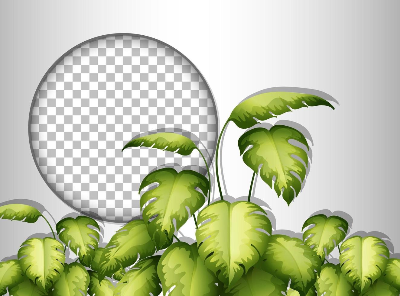 Round frame with tropical leaves template vector