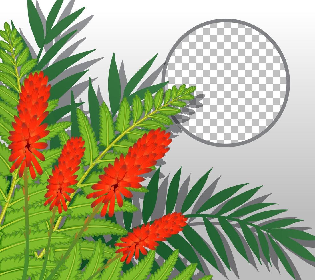 Round frame with red flowers and leaves template vector