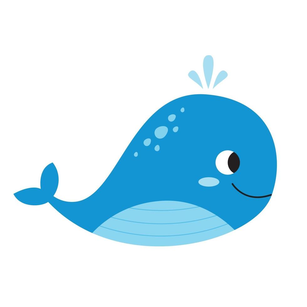 Vector picture of big blue whale. White background.