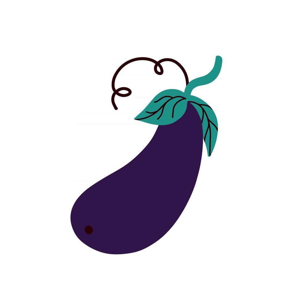 aubergine on a white background. Eggplant vector illustration