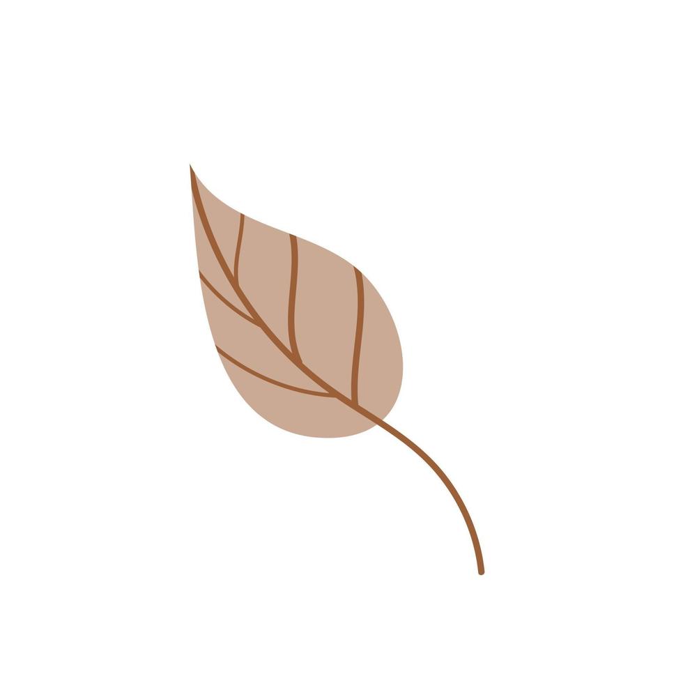 A fallen autumn leaf isolated on a white background. Vector illustration. Design element for autumn holidays
