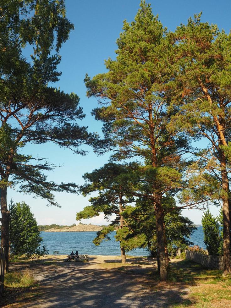 Vista desde un banco costero entre altos pinos de Sandhamn en el archipiélago de Estocolmo, Suecia foto