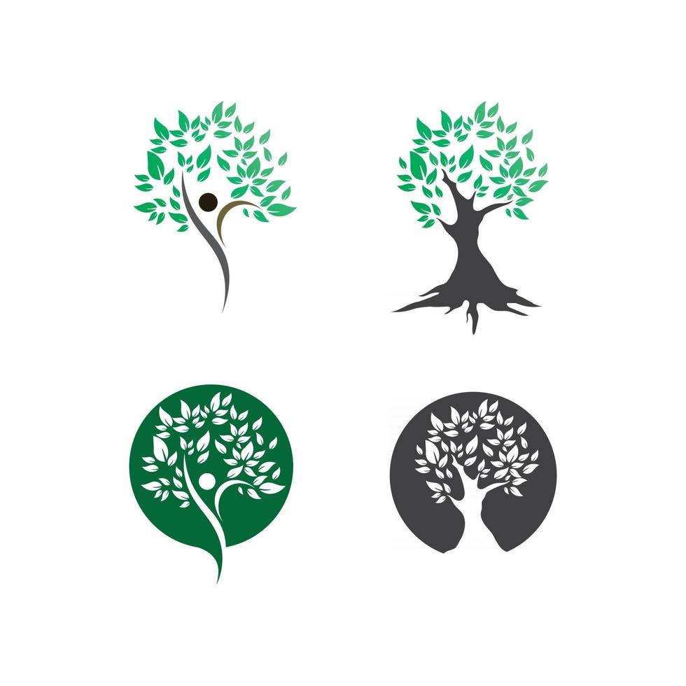 Tree leaf vector and green logo design friendly concept