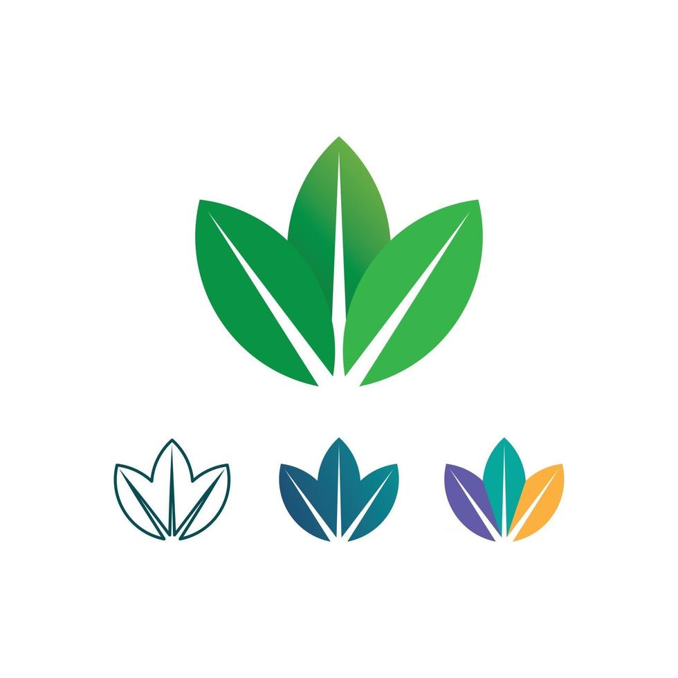 Tree leaf vector and green logo design friendly concept