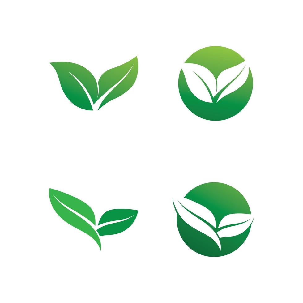 Tree leaf vector design eco friendly concept logo