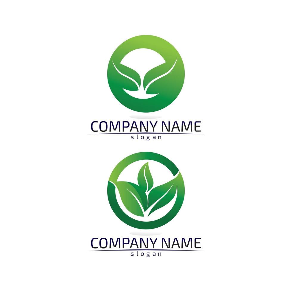 Tree leaf vector design eco friendly concept logo