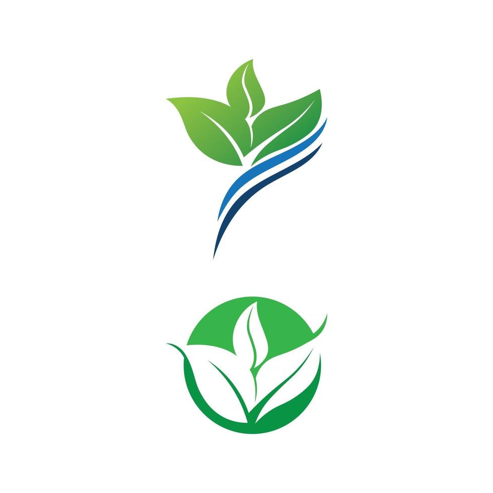 Tree leaf vector design eco friendly concept logo