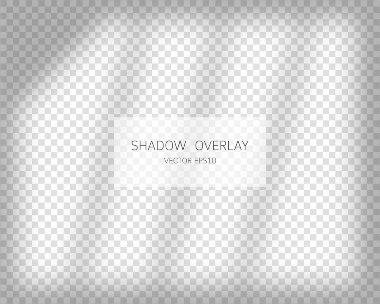 Shadow overlay effect. Natural shadows from window isolated on transparent background. Vector illustration.