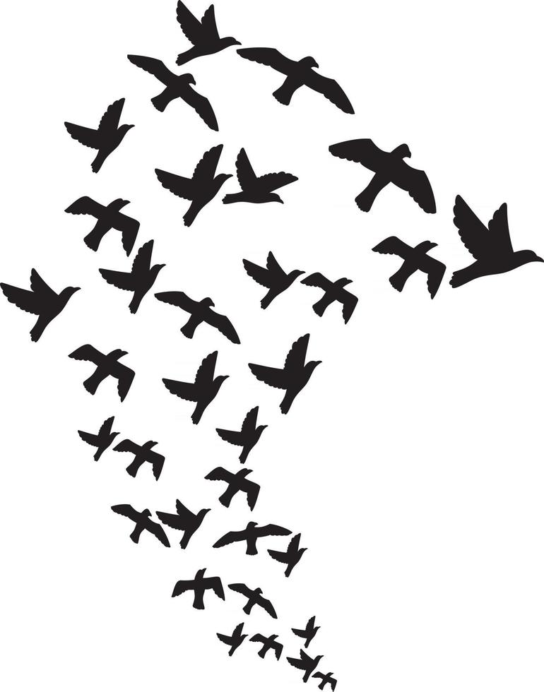 A Flock of Birds vector