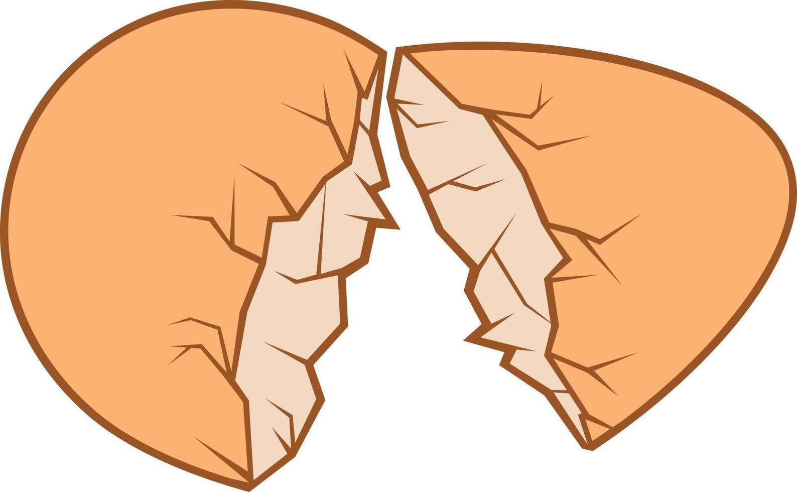 Cracked Egg Color vector