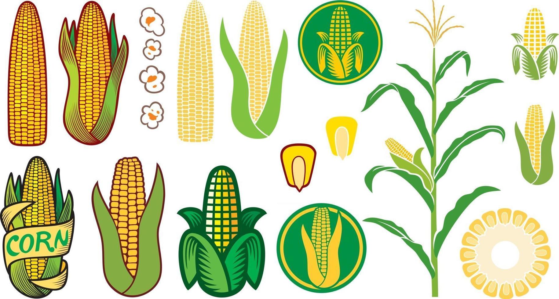 Corn Icons Collection vector