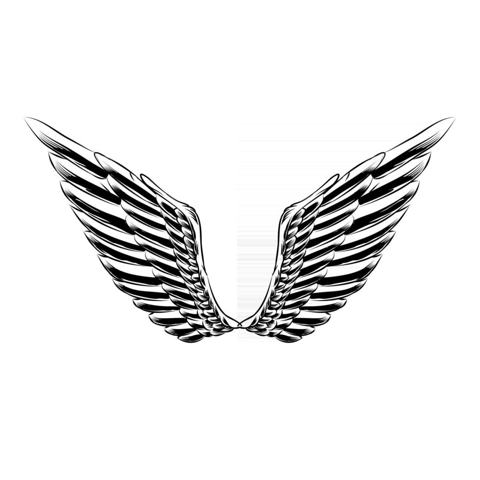 Isolated Wings Illustration for logo badge and branding vector