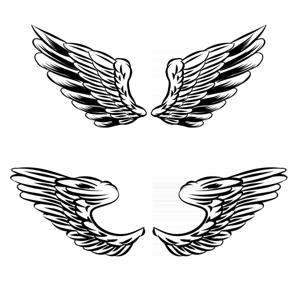 Ilustración de alas aisladas para insignia y marca vector