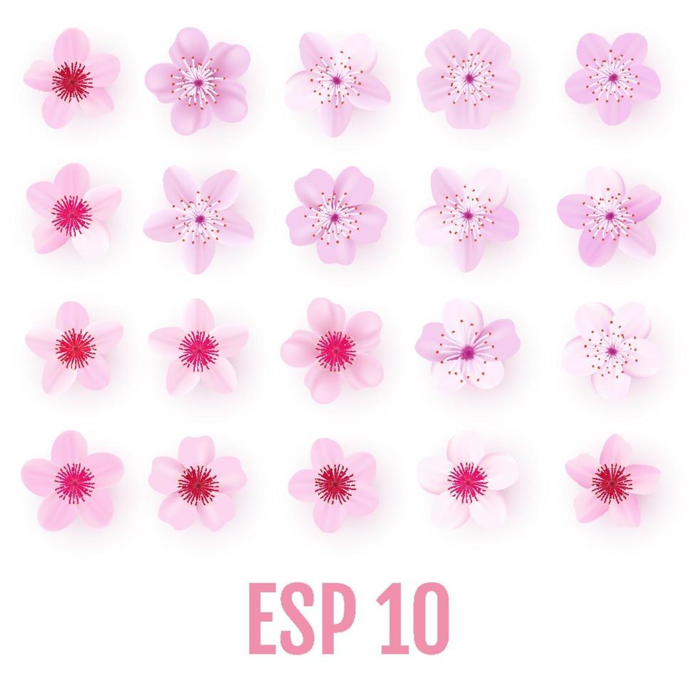 Realistic pink sakura petals icon set Cherry flowers vector