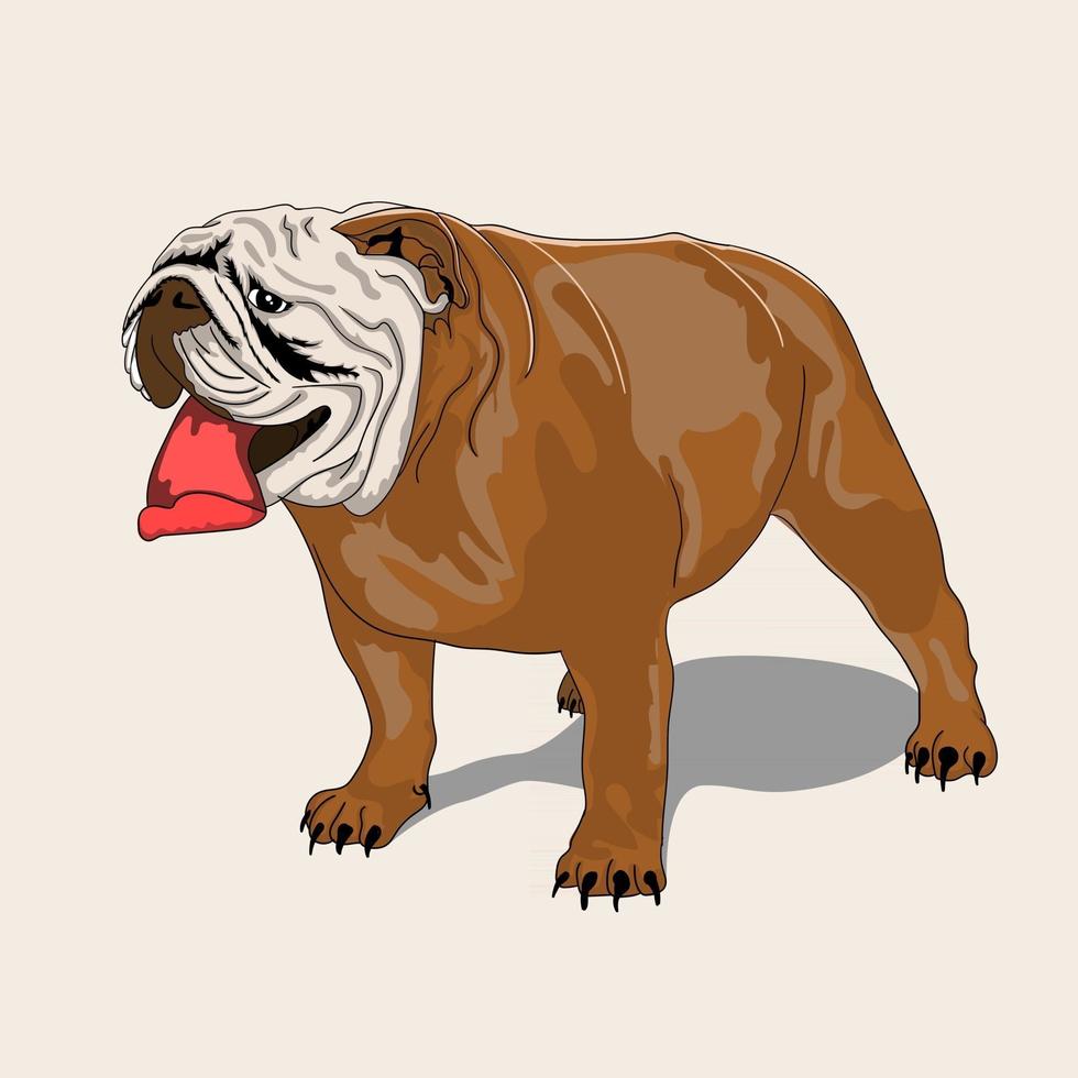 personaje de bulldog de arte vectorial vector