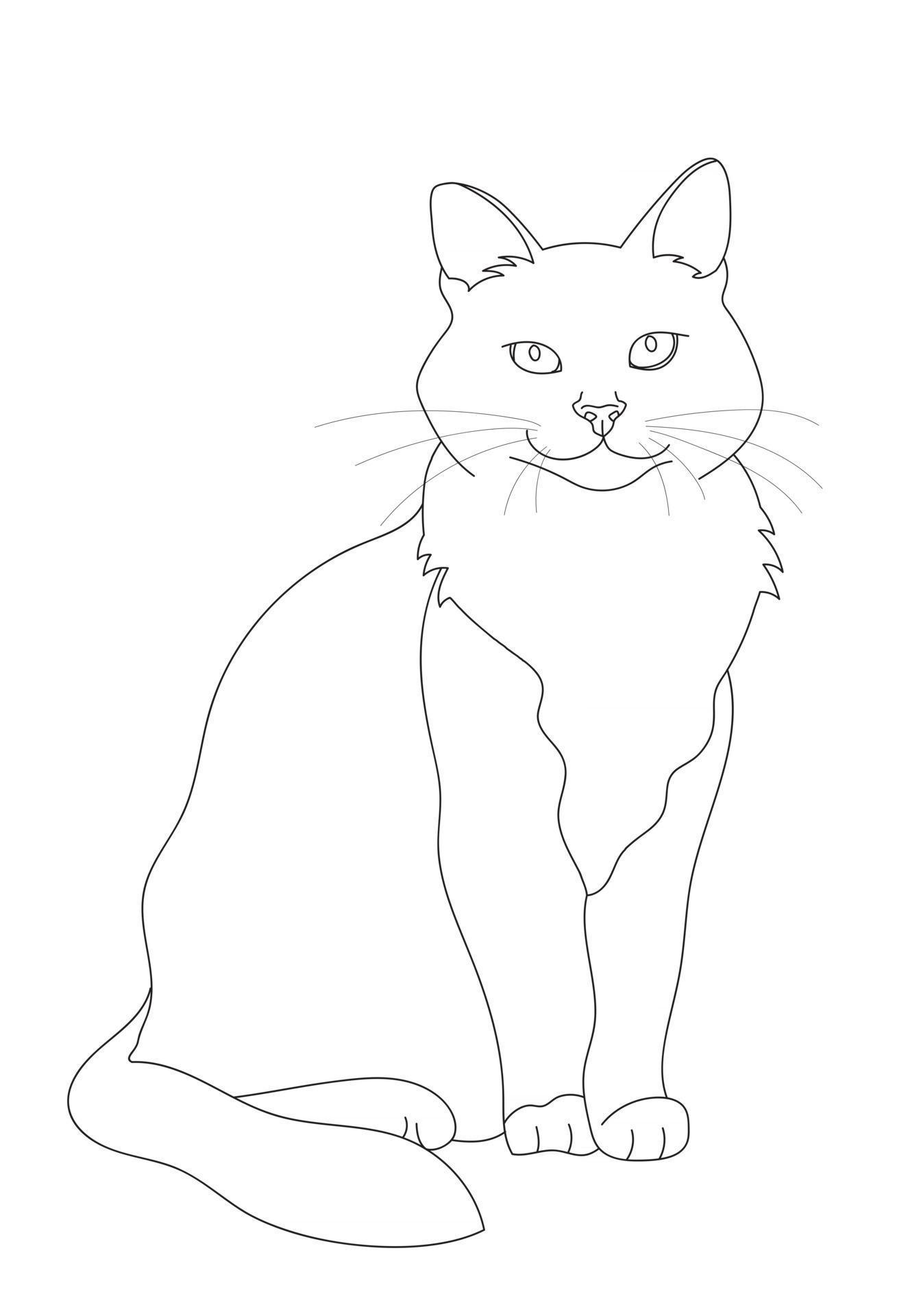 illustration design outline of cat 2852209 Vector Art at Vecteezy