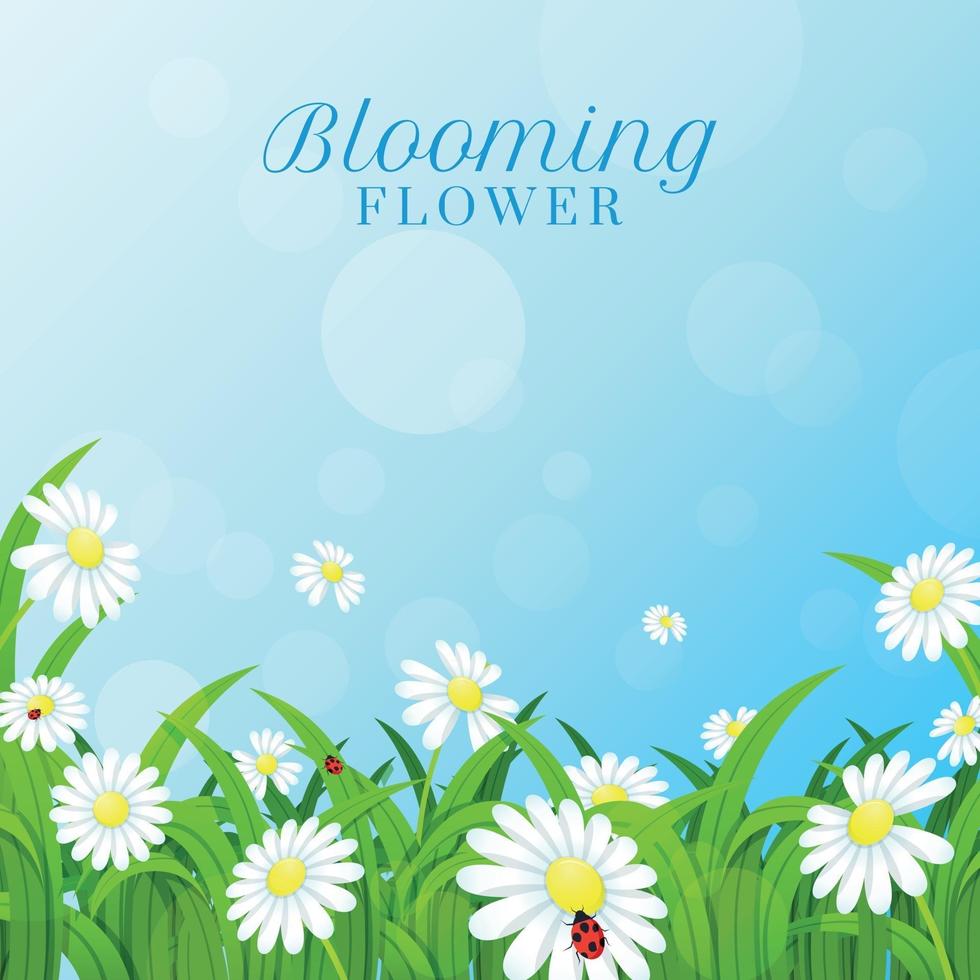 Blooming Daisy Background vector