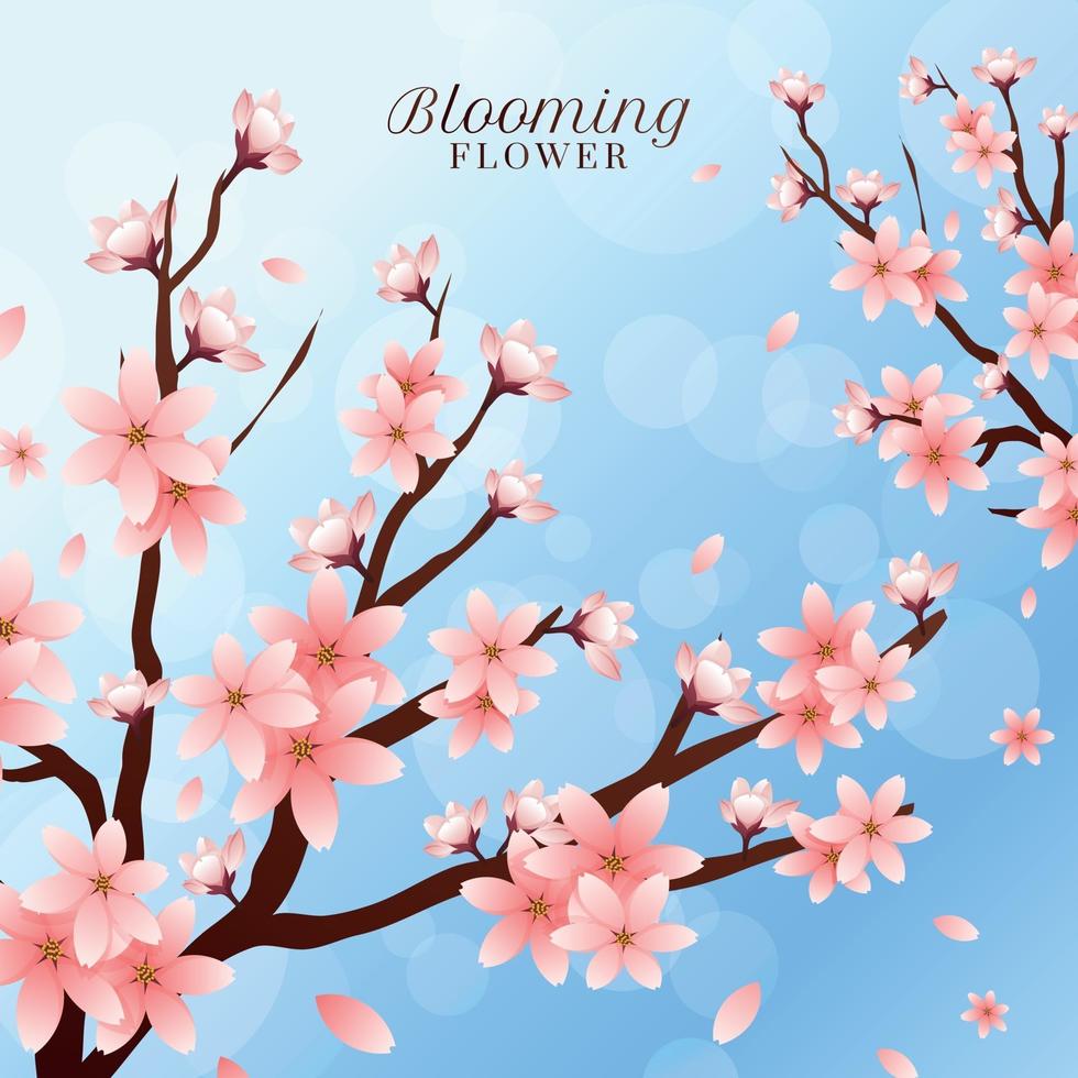 Blooming Cherry Blossom Flower Background vector