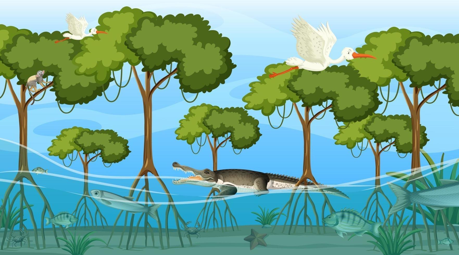 Los animales viven en el bosque de manglares durante el día. vector