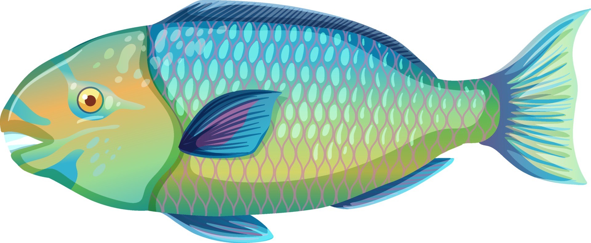 how to enhance parrot fish coloring pages