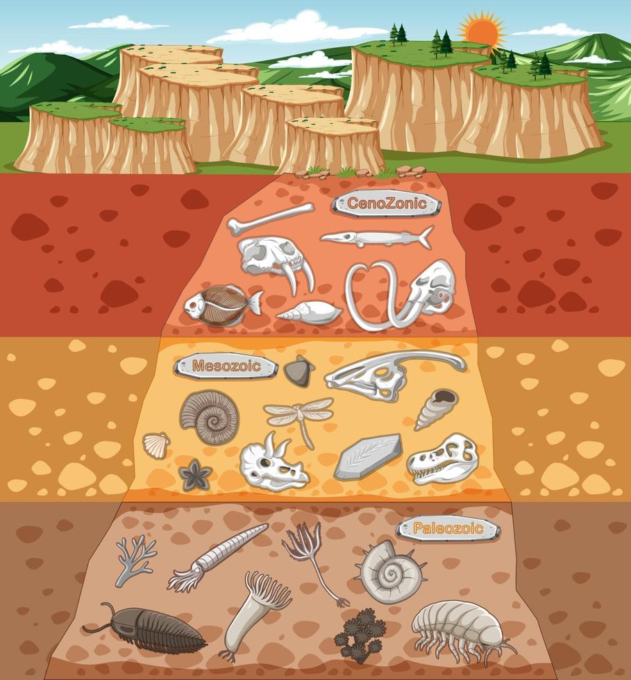 Scene with various animals bones and dinosaurs fossils in soil layers vector
