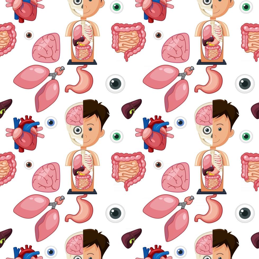 Actualizar 74+ fondos del cuerpo humano última – camera.edu.vn