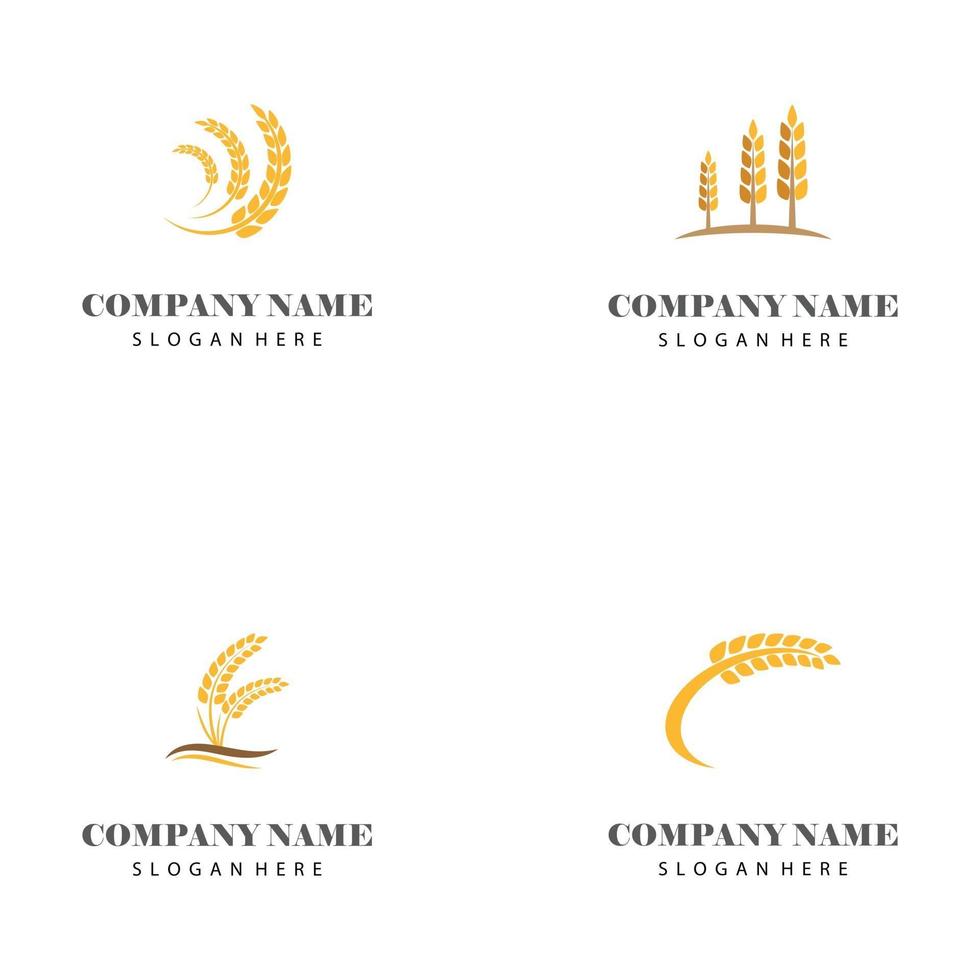 Wheat Logo Template vector symbol nature