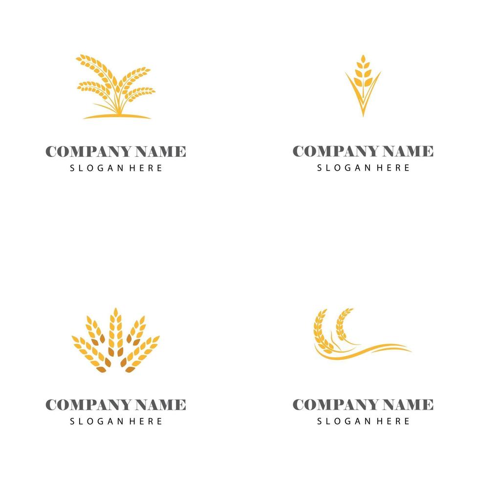 Wheat Logo Template vector symbol nature