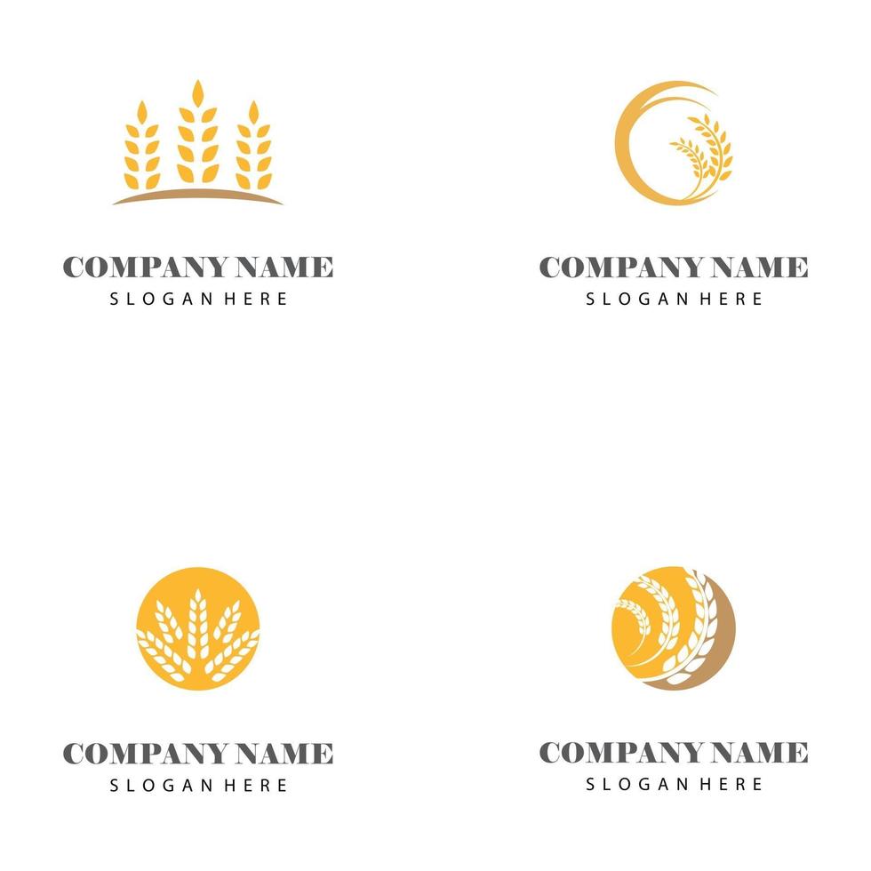 Wheat Logo Template vector symbol nature