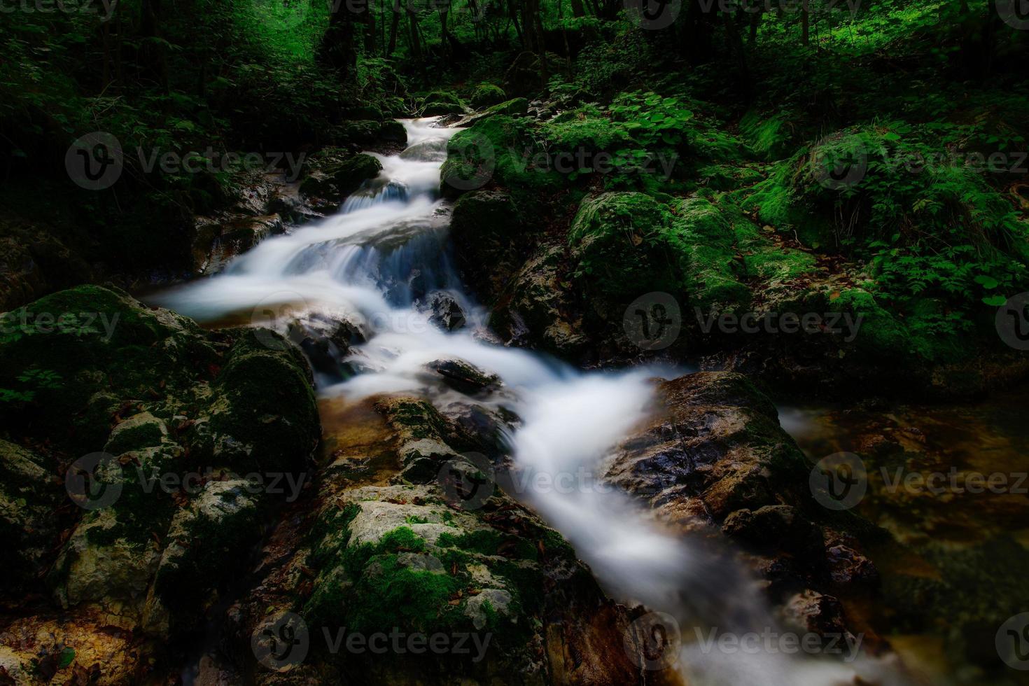 un curso de agua en un pequeño valle en el bosque foto