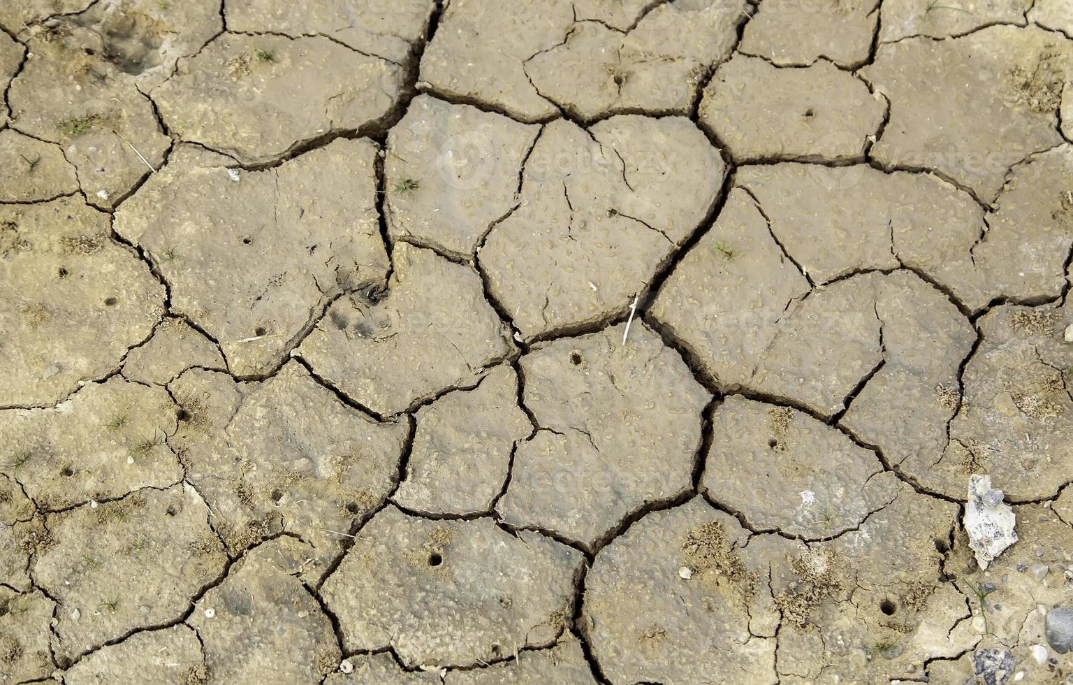 textura de tierra agrietada foto