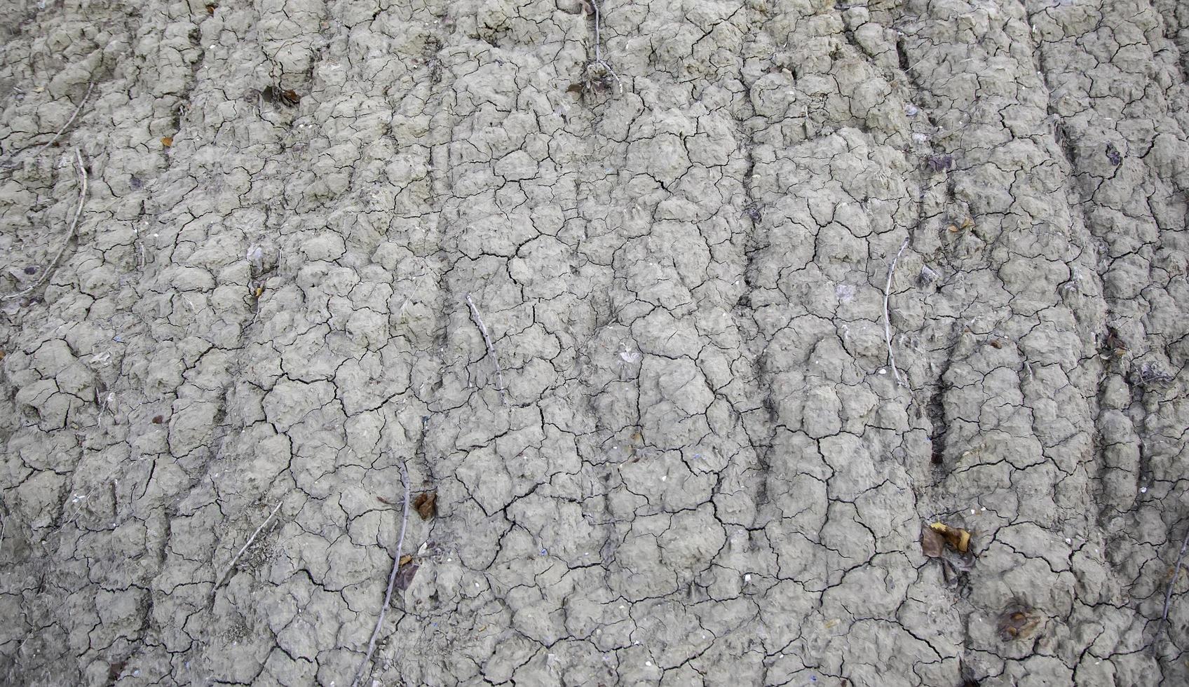 textura de tierra agrietada foto