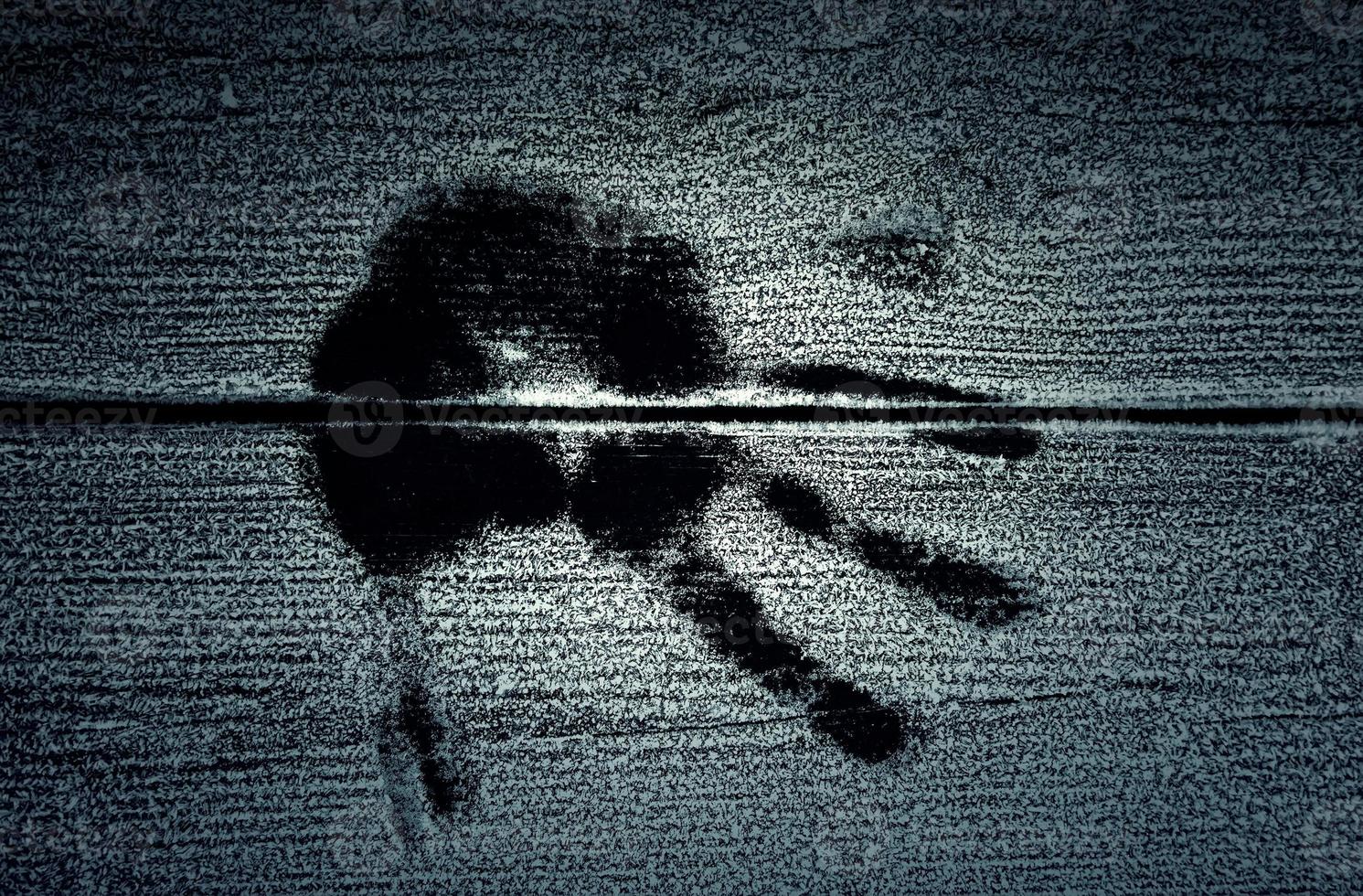 Handprint on frozen wood photo