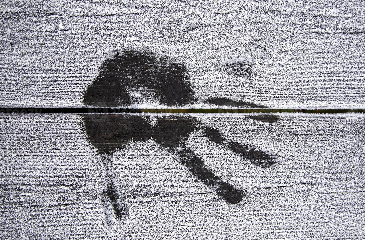 Handprint on frozen wood photo