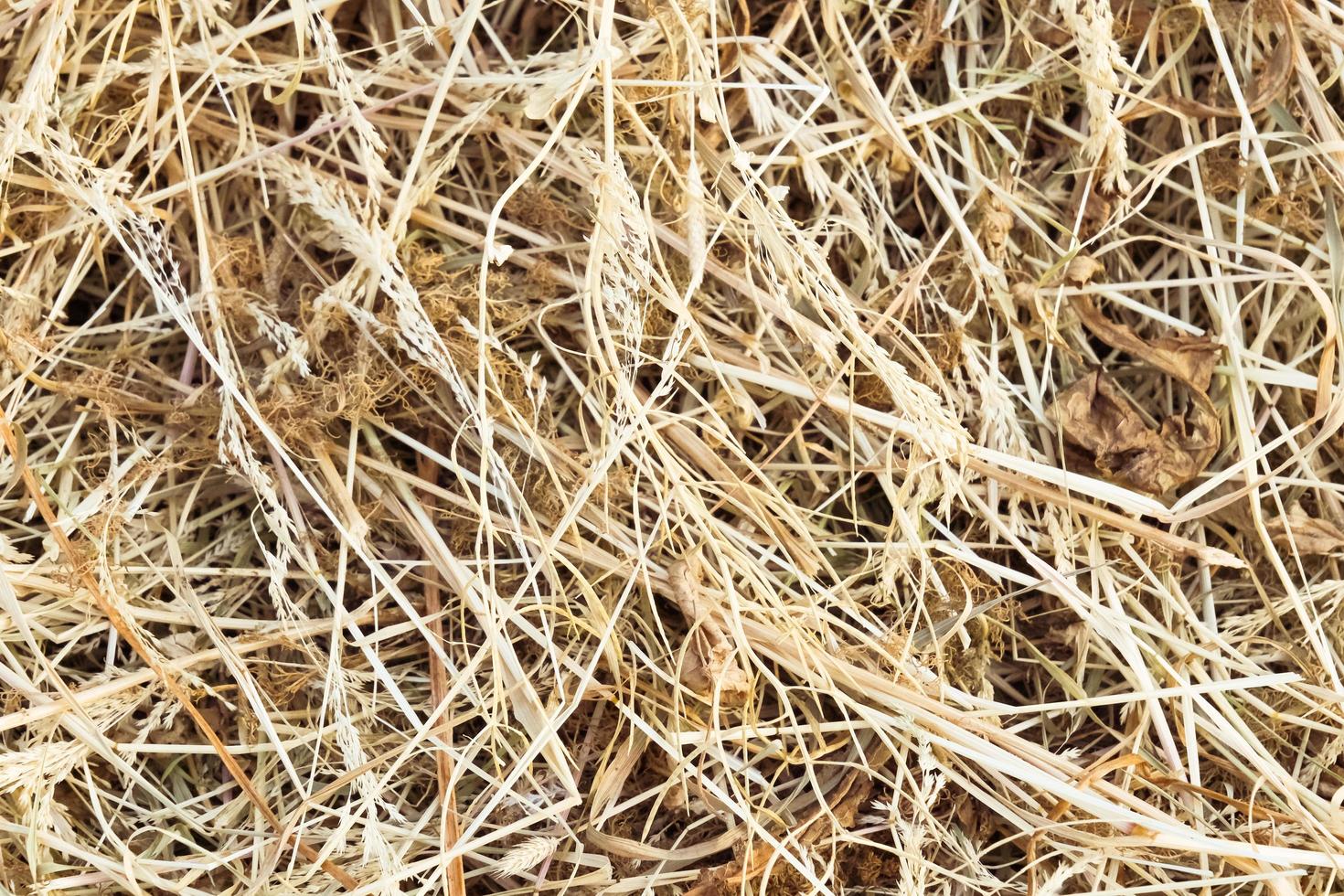 Hay bale texture background photo