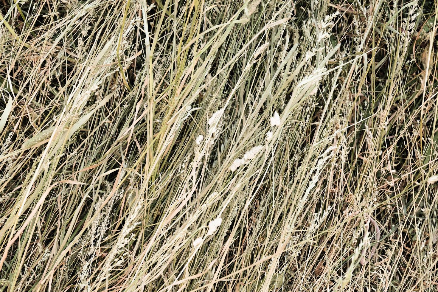 Hay bale texture background photo