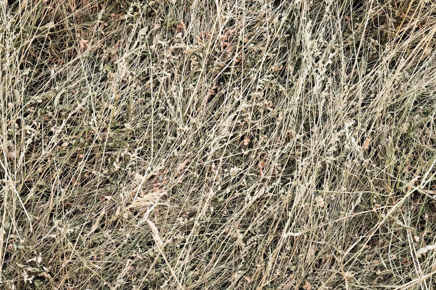 Hay bale texture background photo