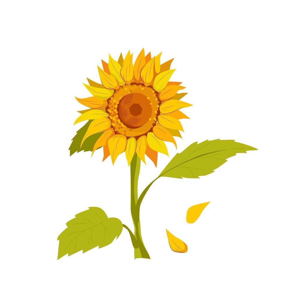 un vector de girasol solar con hojas