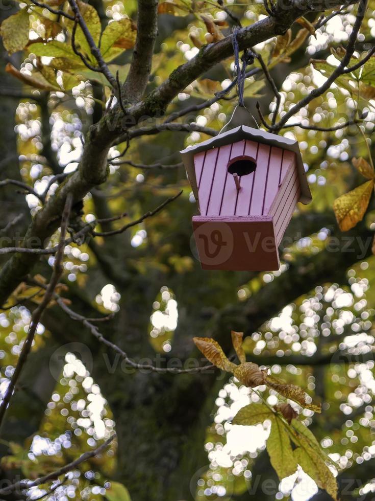 casa de pájaros de madera foto