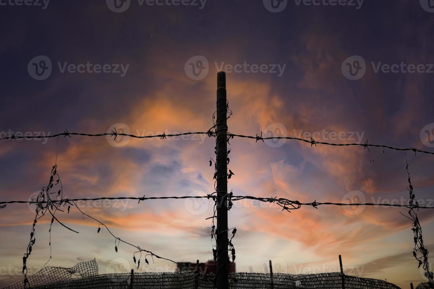 Barbed wire immigration photo