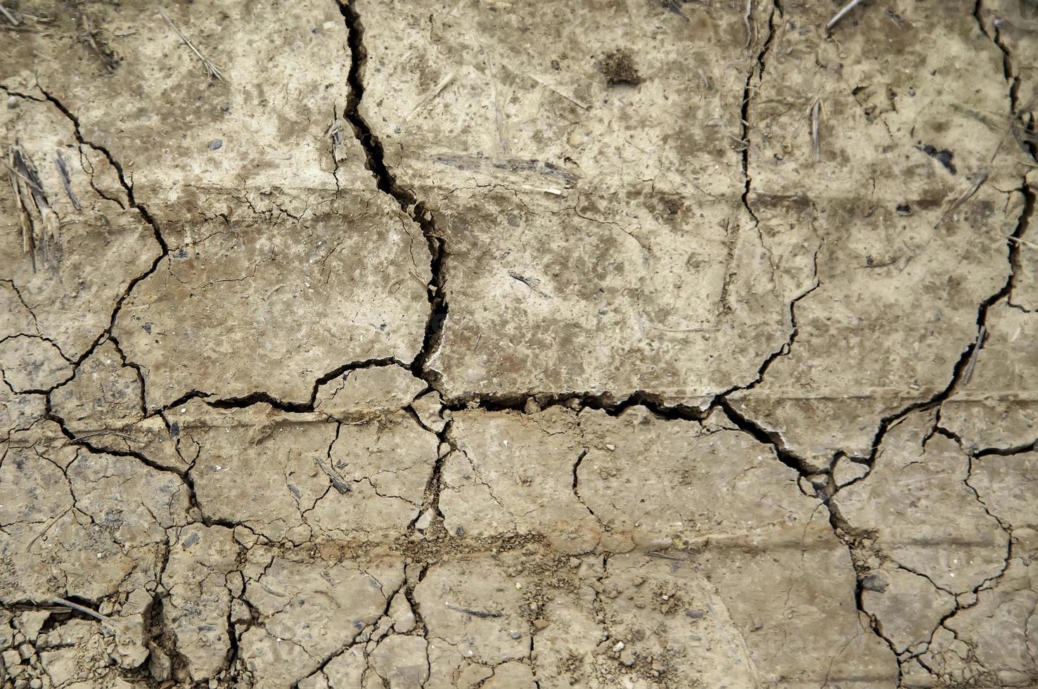 textura de tierra agrietada foto