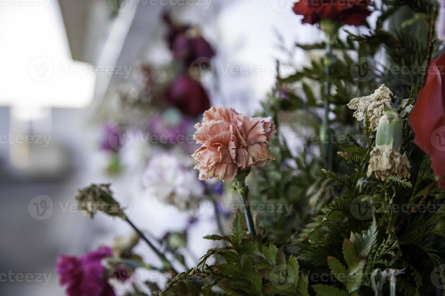 flores en el cementerio foto